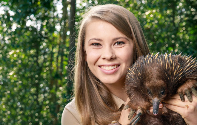 Bindi Irwin holding an Echidna.