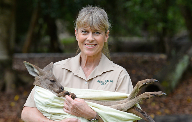 Terri Irwin holding a baby kangaroo.