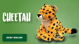 Cheetah Plush