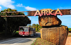 Entrance to the Africa area.