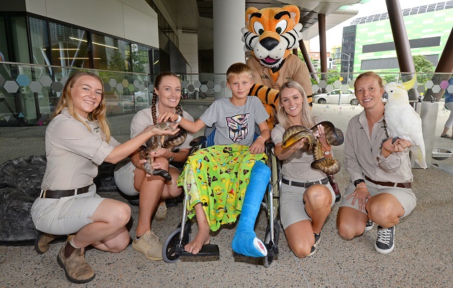 Australia Zoo at Qld Children's Hospital