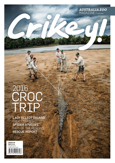 Crikey Magazine Issue 39