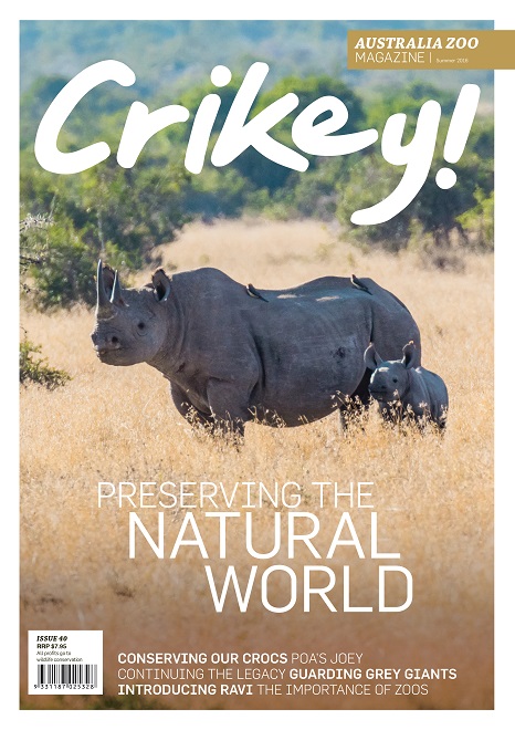 Crikey Magazine Issue 40