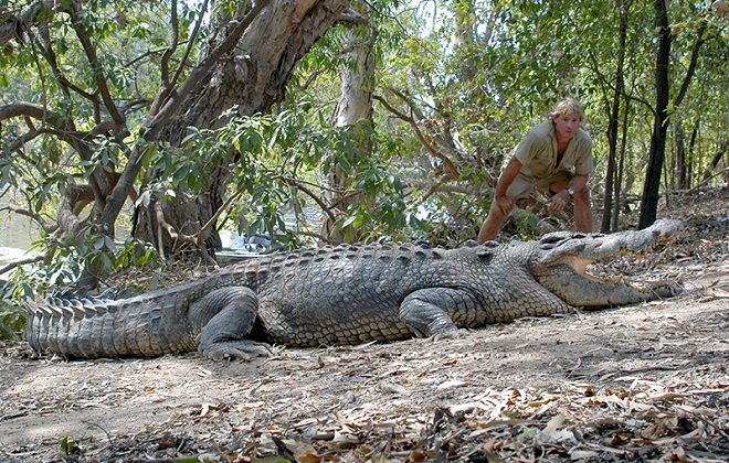 Crocodile Egg Harvesting Petition