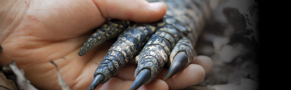 Zookeeper holding a clawed hand.