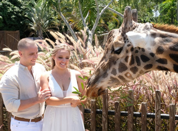 giraffe wedding