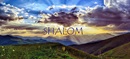 La palabra shalom en hebreo significa paz y describe la armonía entre la humanidad y toda la creación de Dios. Foto de RÜŞTÜ BOZKUŞ, cortesía de Pixabay.