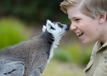 Robert Irwin touching noses with Vatobe the Ring Tailed Lemur.