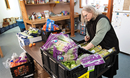 Ola Williams sorts through donated produce at the Willow Community Food Pantry in Willow, Alaska. Williams serves as director of the pantry, a ministry of Willow United Methodist Church.